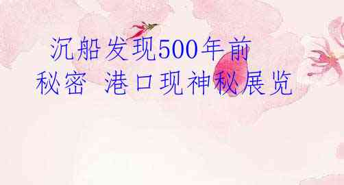  沉船发现500年前秘密 港口现神秘展览 