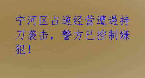 宁河区占道经营遭遇持刀袭击，警方已控制嫌犯！