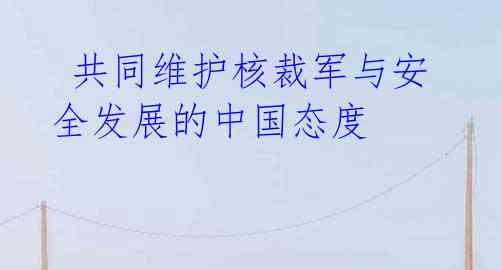  共同维护核裁军与安全发展的中国态度