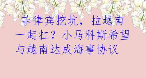  菲律宾挖坑，拉越南一起扛？小马科斯希望与越南达成海事协议 