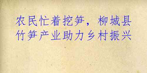 农民忙着挖笋，柳城县竹笋产业助力乡村振兴 