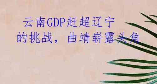 云南GDP赶超辽宁的挑战,曲靖崭露头角