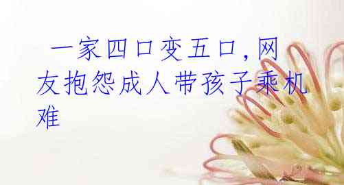 一家四口变五口,网友抱怨成人带孩子乘机难