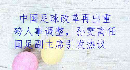  中国足球改革再出重磅人事调整，孙雯离任国足副主席引发热议