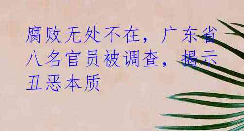 腐败无处不在，广东省八名官员被调查，揭示丑恶本质 