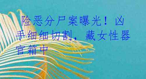  险恶分尸案曝光！凶手细细切割，藏女性器官箱中