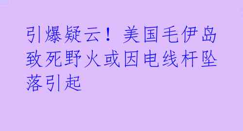 引爆疑云！美国毛伊岛致死野火或因电线杆坠落引起 