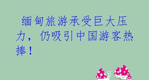 缅甸旅游承受巨大压力,仍吸引中国游客热捧!