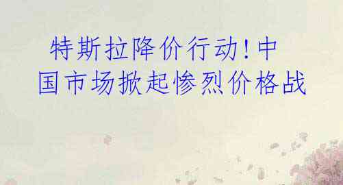 特斯拉降价行动!中国市场掀起惨烈价格战