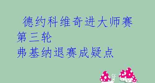德约科维奇进大师赛第三轮 弗基纳退赛成疑点