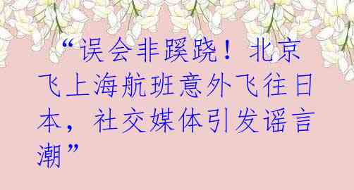 “误会非蹊跷!北京飞上海航班意外飞往日本,社交媒体引发谣言潮”