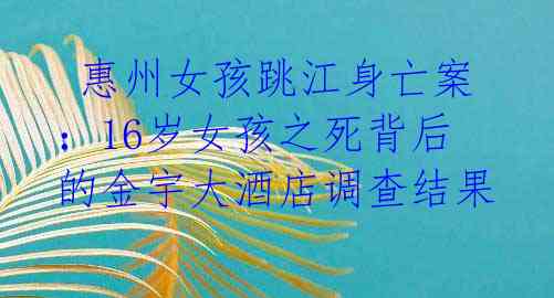  惠州女孩跳江身亡案：16岁女孩之死背后的金宇大酒店调查结果 