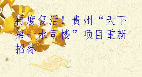 再度复活!贵州“天下第一水司楼”项目重新招标