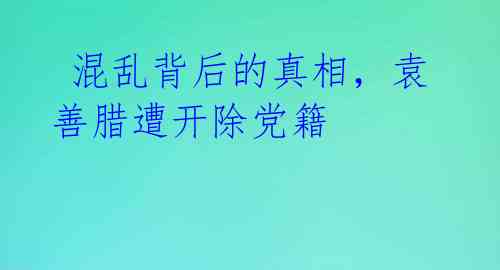  混乱背后的真相，袁善腊遭开除党籍 