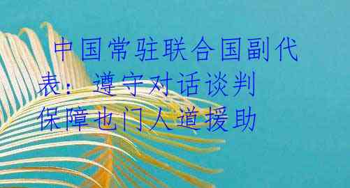  中国常驻联合国副代表: 遵守对话谈判 保障也门人道援助