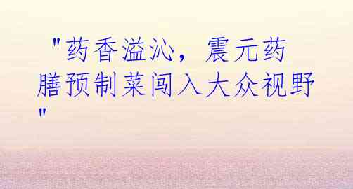  "药香溢沁，震元药膳预制菜闯入大众视野"