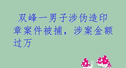  双峰一男子涉伪造印章案件被捕，涉案金额过万