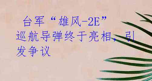  台军“雄风-2E”巡航导弹终于亮相，引发争议