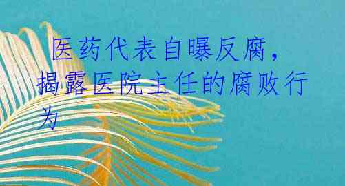  医药代表自曝反腐，揭露医院主任的腐败行为