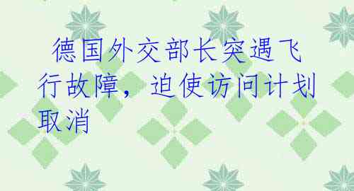  德国外交部长突遇飞行故障，迫使访问计划取消