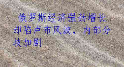  俄罗斯经济强劲增长却陷卢布风波，内部分歧加剧