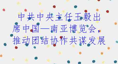  中共中央主任王毅出席中国—南亚博览会，推动团结协作共谋发展