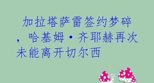  加拉塔萨雷签约梦碎，哈基姆·齐耶赫再次未能离开切尔西 