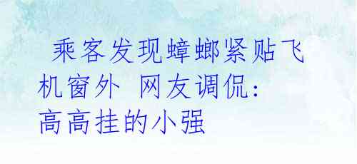  乘客发现蟑螂紧贴飞机窗外 网友调侃: 高高挂的小强