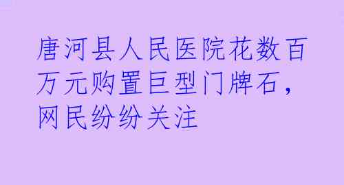 唐河县人民医院花数百万元购置巨型门牌石，网民纷纷关注 