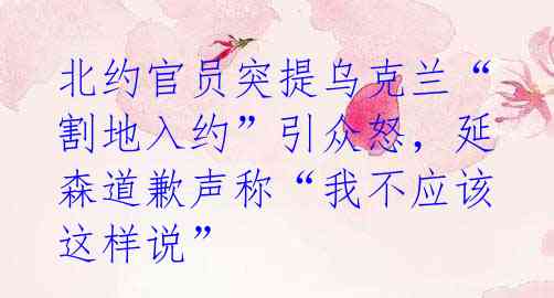 北约官员突提乌克兰“割地入约”引众怒，延森道歉声称“我不应该这样说”