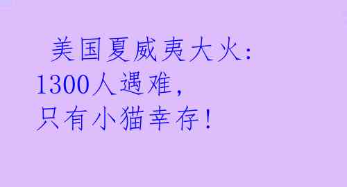  美国夏威夷大火: 1300人遇难, 只有小猫幸存!