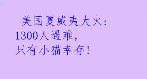  美国夏威夷大火: 1300人遇难, 只有小猫幸存! 