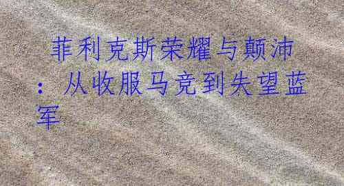  菲利克斯荣耀与颠沛：从收服马竞到失望蓝军