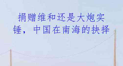  捐赠维和还是大炮实锤，中国在南海的抉择