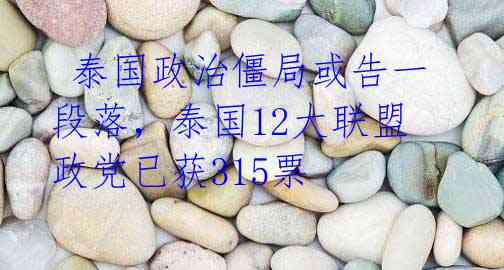  泰国政治僵局或告一段落，泰国12大联盟政党已获315票