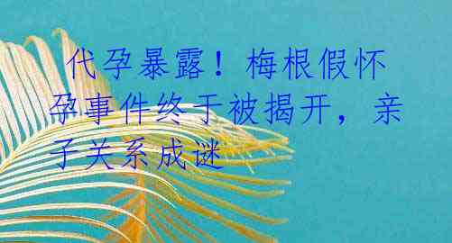  代孕暴露！梅根假怀孕事件终于被揭开，亲子关系成谜 