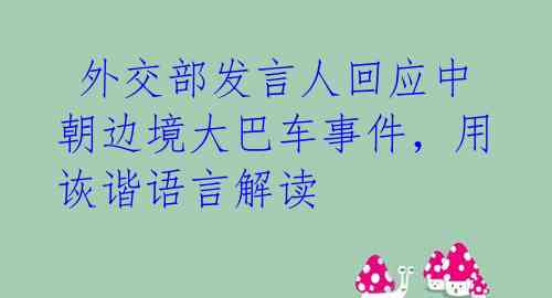  外交部发言人回应中朝边境大巴车事件，用诙谐语言解读 