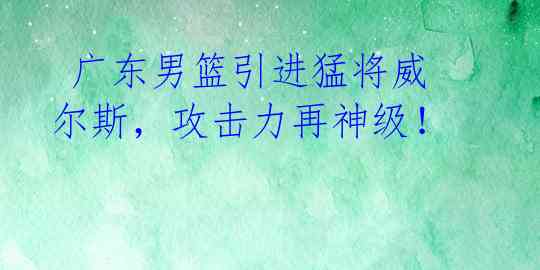  广东男篮引进猛将威尔斯，攻击力再神级！