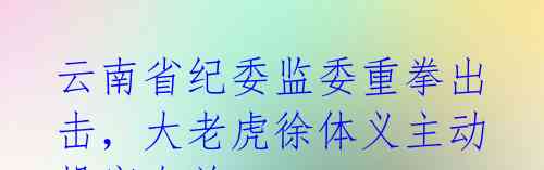 云南省纪委监委重拳出击，大老虎徐体义主动投案自首