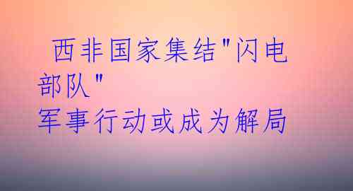  西非国家集结"闪电部队" 军事行动或成为解局 