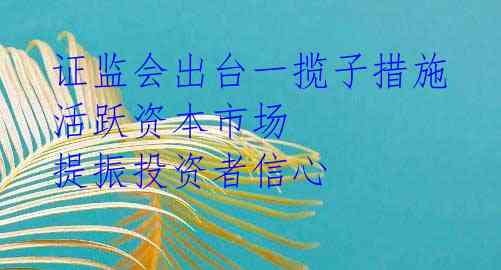  证监会出台一揽子措施 活跃资本市场 提振投资者信心