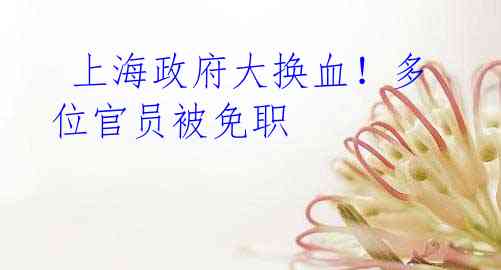  上海政府大换血！多位官员被免职