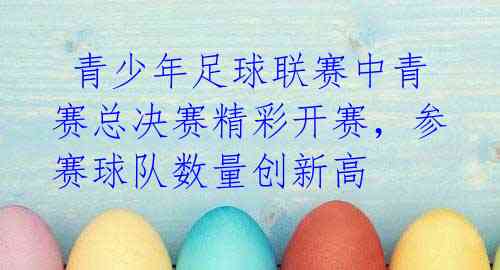  青少年足球联赛中青赛总决赛精彩开赛，参赛球队数量创新高