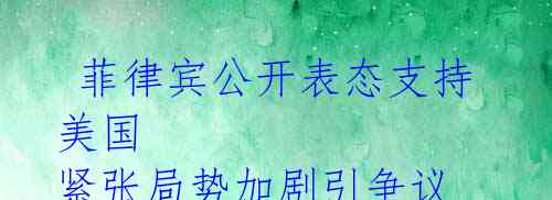  菲律宾公开表态支持美国 紧张局势加剧引争议