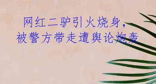  网红二驴引火烧身，被警方带走遭舆论炮轰