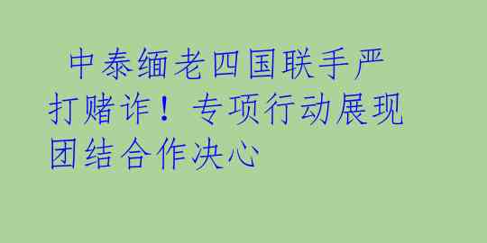  中泰缅老四国联手严打赌诈！专项行动展现团结合作决心