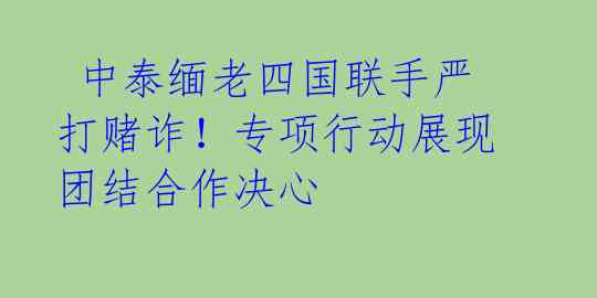  中泰缅老四国联手严打赌诈！专项行动展现团结合作决心 