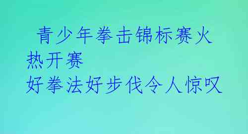  青少年拳击锦标赛火热开赛 好拳法好步伐令人惊叹