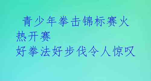  青少年拳击锦标赛火热开赛 好拳法好步伐令人惊叹 