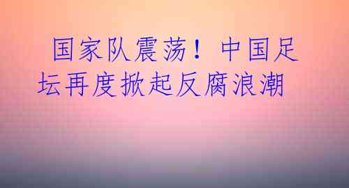  国家队震荡！中国足坛再度掀起反腐浪潮